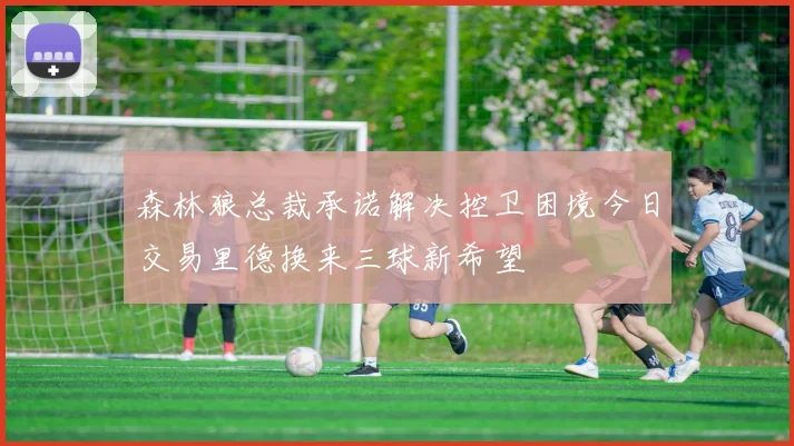 森林狼总裁承诺解决控卫困境今日交易里德换来三球新希望