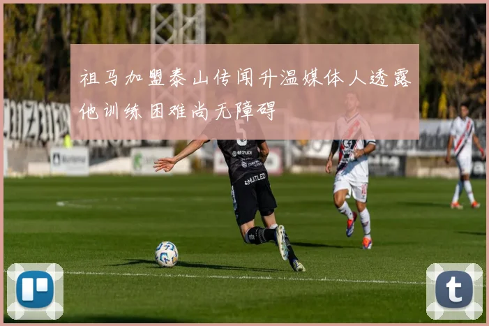 祖马加盟泰山传闻升温媒体人透露他训练困难尚无障碍