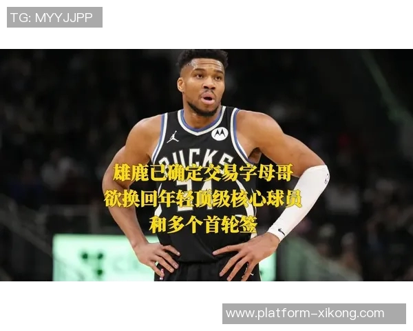 名记曝开拓者掌握雄鹿未来首轮选秀权欲借此交易字母哥增强阵容实力